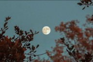 Calendario lunar de septiembre: fases de la Luna, eclipses y la “Luna de Cosecha”