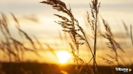 Otra jornada sin ayuda del tiempo para la extinción de incendios