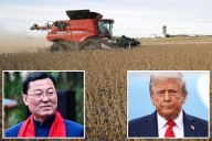 China says 'rampant' US protectionism threatens agricultural ties