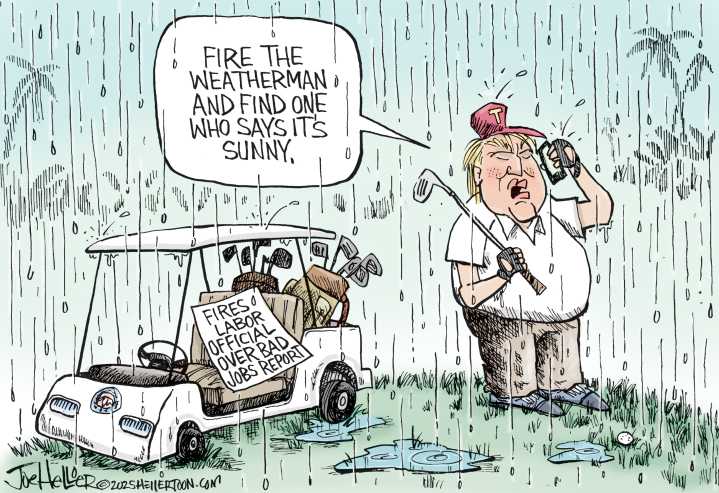 5 thin-skinned cartoons about shooting the messenger