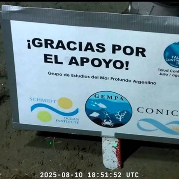 La huella que deja el streaming submarino: Nunca había visto a un país reaccionar de esta manera
