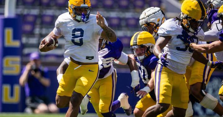 LSU football working on wildcat package in preseason camp