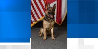 Alabama Law Enforcement Agency announces sudden passing of beloved K