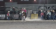 Let 'Er Buck: New Rodeo Billings off to hot start