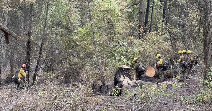 Containment improves on Castle Rock fire near Arden