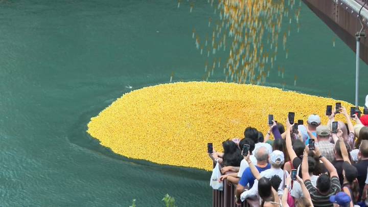 Ducky Derby Chicago: Hundreds of thousands raised for charity