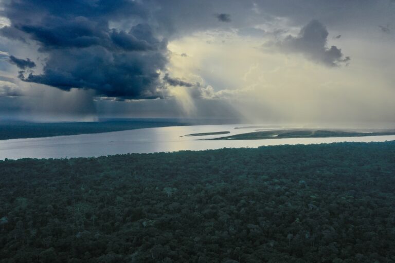 Deforestation is killing people by raising local temperatures