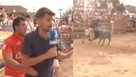 Un espontáneo empuja al ruedo a un reportero de ETB y este acaba siendo cogido por una vaquilla