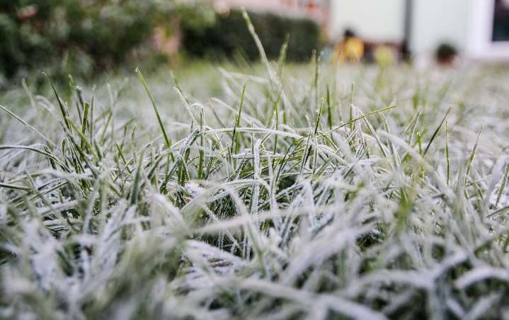 Weather Frost Advisory signals chilly start to Labor Day Weekend in Michigan