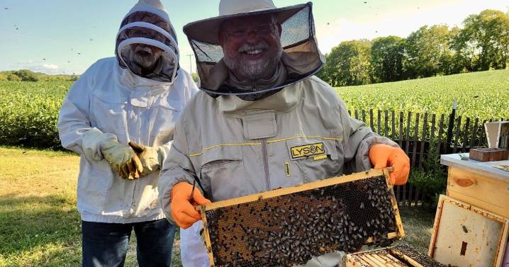 Apiary inspector talks mites and more at Eastern Panhandle Beekeepers Association picnic