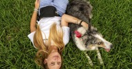 These colleges are welcoming pets in dorms to reduce students' stress and anxiety