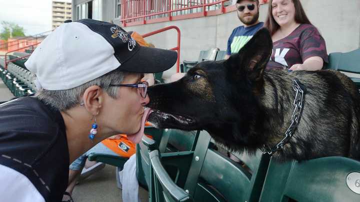 Erie SeaWolves host dogs and their owners for Bark at the Park