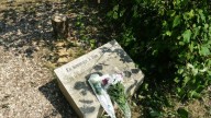 French leader Macron vows justice after unknown attackers chop down tree honoring murdered Jew