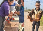 BARRANQUERAS: Rescate Exitoso De Un Niño Y Su Cachorro Que Habían Caído A Un Pozo