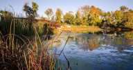 Most livable small cities in the US