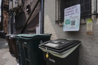 Composting helps planet: This is how to do it, no matter where you live