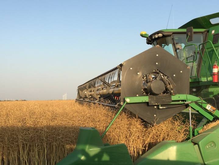 A key meeting for Canada's canola industry takes place today in Saskatoon