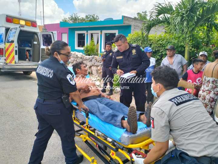 Hombre es hospitalizado tras ser atacado por el toro de sus vecinos en Motul
