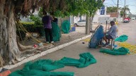 ¡Se les cae la chamba! Disminuye un 70 por ciento el trabajo para los que arman redes de pesca en Mazatlán