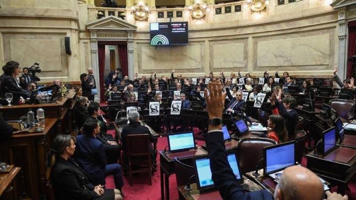Senado: la oposición busca dictaminar hoy sobre el financiamiento a universidades y al Garrahan