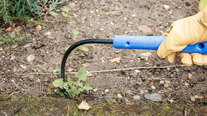 This garden tool is a real mean machine with weeds in my yard