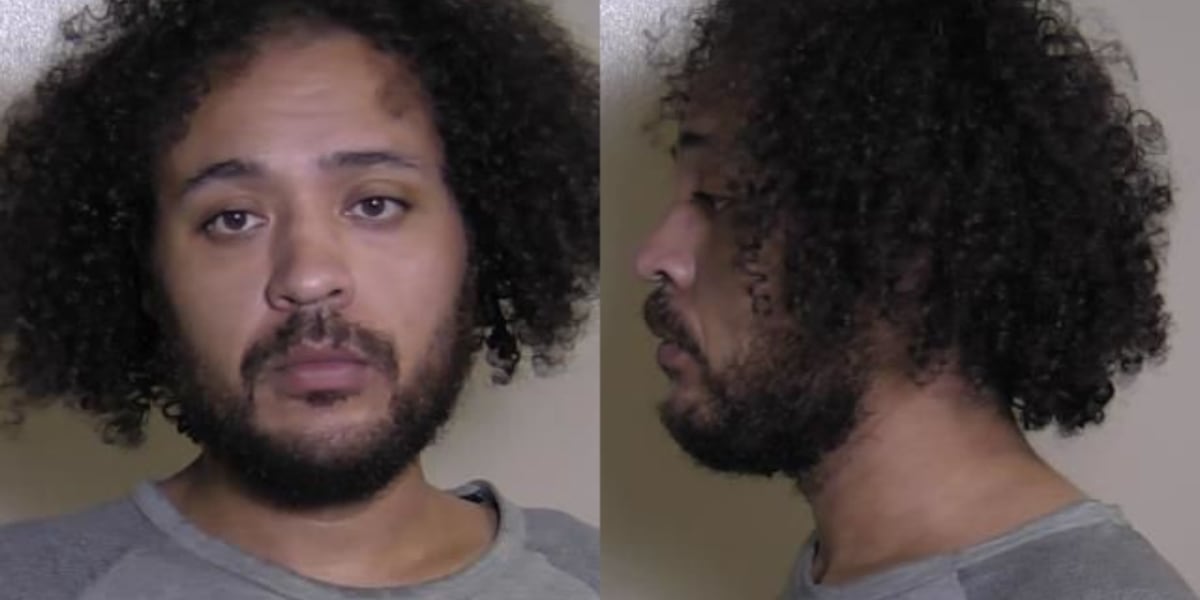 Man convicted of firing shots at Alton homes sentenced to prison