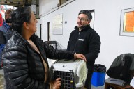 Tolhuin: Jornada de tenencia responsable y bienestar animal