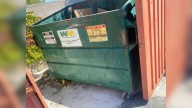 Cries From A California Dumpster Led To A Discovery That Shook One Man’s Heart