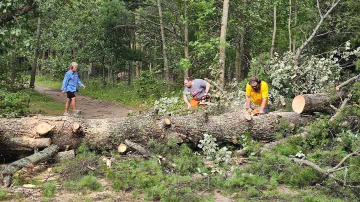 Straight-Line Winds in Longville Cause Damage, Take Down Trees
