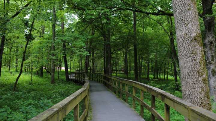 Results released for ‘Best in Kentucky’ 2025, 2 local names take top spots