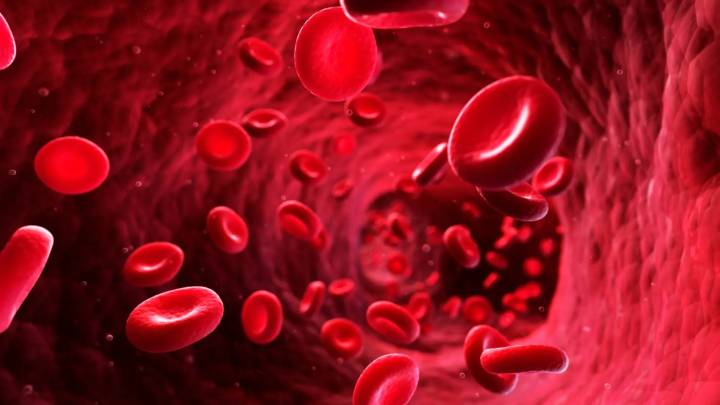 Descubren una variante de la hemoglobina que permitirá identificar dolencias hereditarias