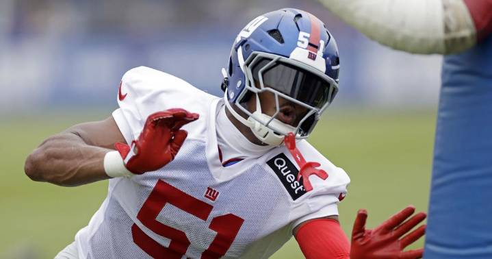 Cam Ward, Travis Hunter and Ashton Jeanty are among the NFL rookies to watch this season