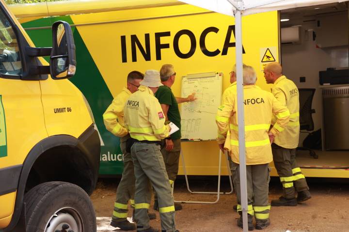 Investigan el origen del incendio que hace un año quemó casi 800 hectáreas en Andújar