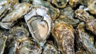 Frozen Oysters recalled, advisory issued after norovirus outbreak in Utah County