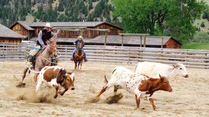 Travel: Saddle up! These guest ranches deliver the West without roughing it