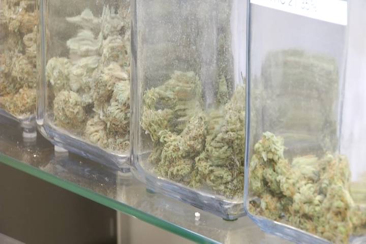 $500K in marijuana funds to be distributed by Grand Traverse County