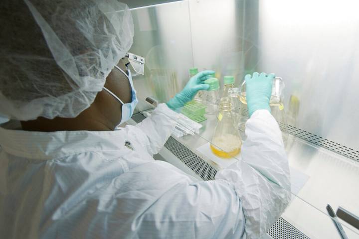 Maryland confirma el primer caso humano de virus del Nilo Occidental en lo que va de año