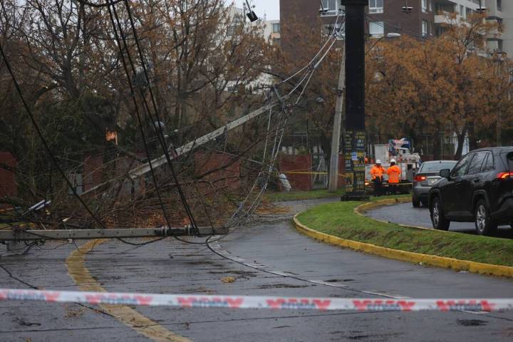 Emergencia en Ñuñoa por conductor ebrio que derribó postes y árbol