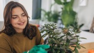 Tips y consejos prácticos de un especialista para usar de manera correcta el abono en sus plantas