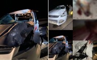 Accidente Mérida – Campeche: Caballo muere destrozado tras brutal embestida de camioneta