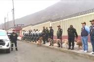 Más de 1,600 policías reforzarán la seguridad por el clásico Universitario