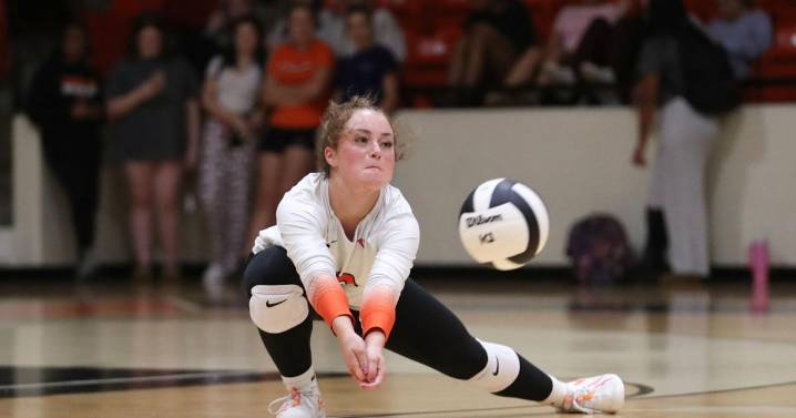 BRIEFS: Virginia High hosts annual volleyball tourney today; Lebanon High School gymnast does big things; MMA Fight in Grundy for good cause