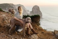 13 Supercharged Dog Breeds Made For Endless Adventure