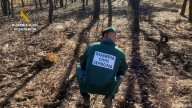 Investigado un varón de 69 años por su presunta implicación en un incendio en el paraje Foncabada de Villamol (León)