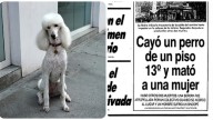 Perrito cayó desde un piso 13 y provocó tres muertes. Argentina recuerda la tragedia