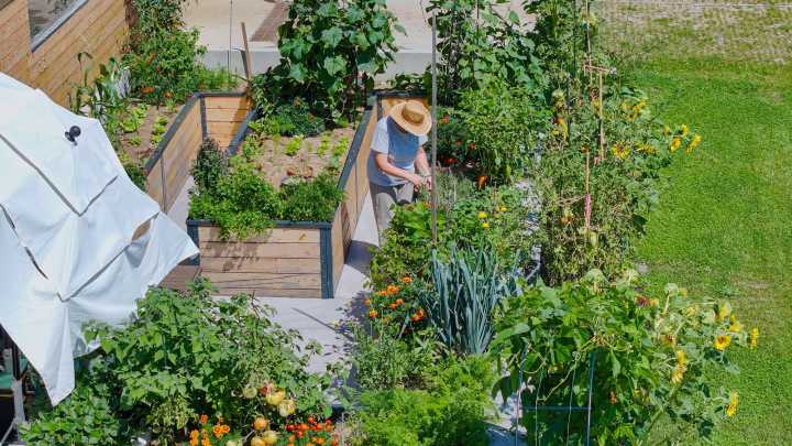 17 Gardening Tasks To Do In August To Prepare For The End Of The Year