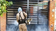 Así va el dengue en Guanajuato este 2025: Valle de Santiago y León lideran contagios