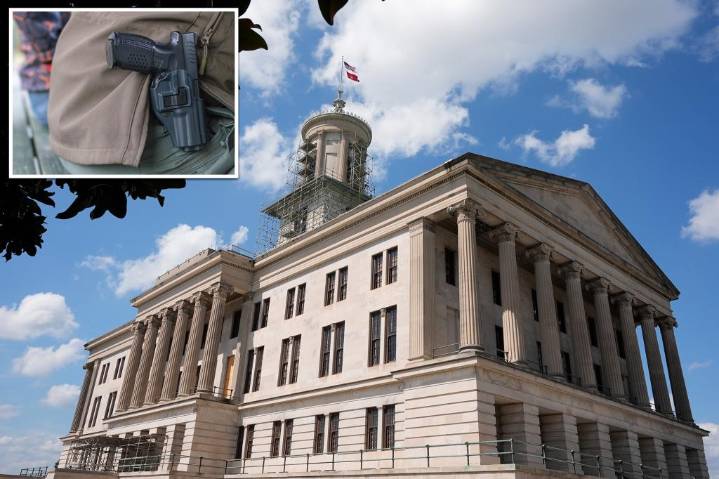 Tennessee judges rule gun limits in parks and playgrounds are unconstitutional