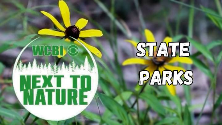 Next to Nature (State Parks)