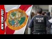 Florida Announces Arrest of 'Nearly 200 Illegal Aliens' in Partnership with ICE